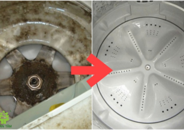 Cách vệ sinh máy giặt tại nhà hiệu quả và dễ dàng
